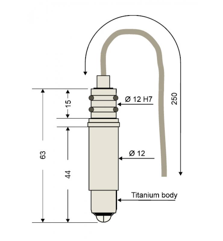 Redox sensor