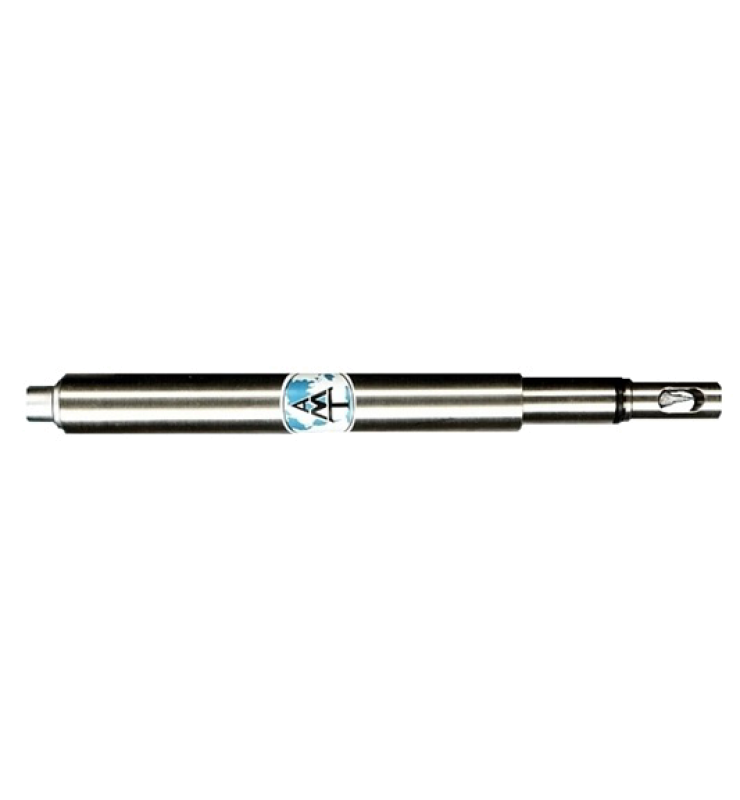 AMT H2S sensor